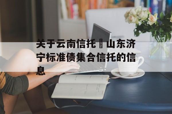 关于云南信托–山东济宁标准债集合信托的信息