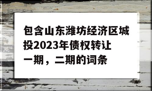 包含山东潍坊经济区城投2023年债权转让一期，二期的词条