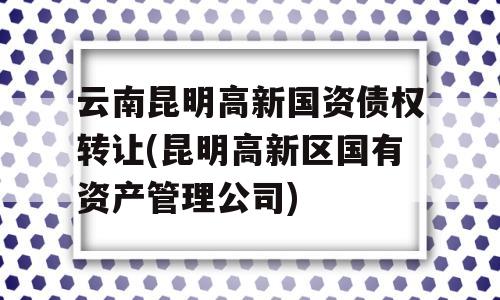 云南昆明高新国资债权转让(昆明高新区国有资产管理公司)