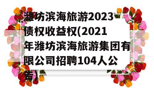 潍坊滨海旅游2023债权收益权(2021年潍坊滨海旅游集团有限公司招聘104人公告)