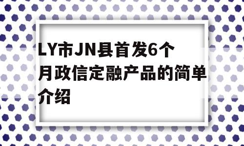 LY市JN县首发6个月政信定融产品的简单介绍
