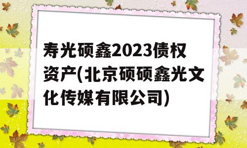 寿光硕鑫2023债权资产(北京硕硕鑫光文化传媒有限公司)