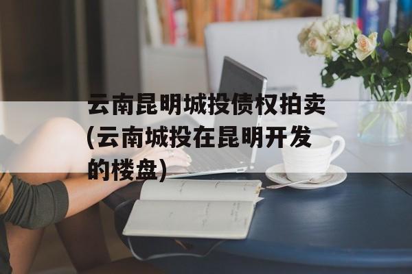 云南昆明城投债权拍卖(云南城投在昆明开发的楼盘)