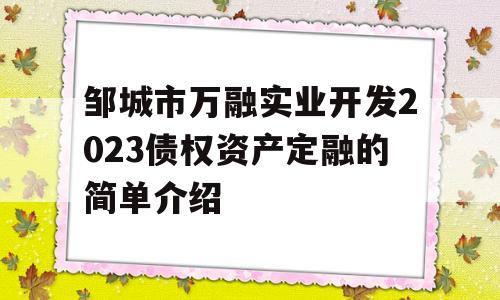 邹城市万融实业开发2023债权资产定融的简单介绍