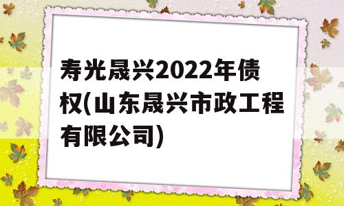 寿光晟兴2022年债权(山东晟兴市政工程有限公司)