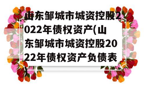 山东邹城市城资控股2022年债权资产(山东邹城市城资控股2022年债权资产负债表)