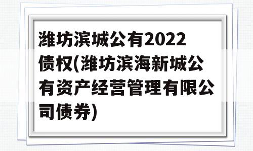 潍坊滨城公有2022债权(潍坊滨海新城公有资产经营管理有限公司债券)