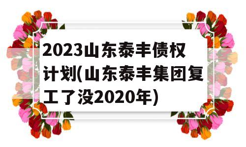 2023山东泰丰债权计划(山东泰丰集团复工了没2020年)