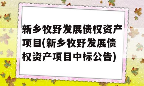 新乡牧野发展债权资产项目(新乡牧野发展债权资产项目中标公告)