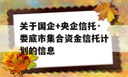 关于国企+央企信托·娄底市集合资金信托计划的信息