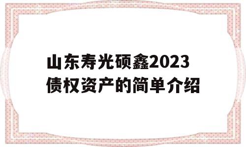 山东寿光硕鑫2023债权资产的简单介绍