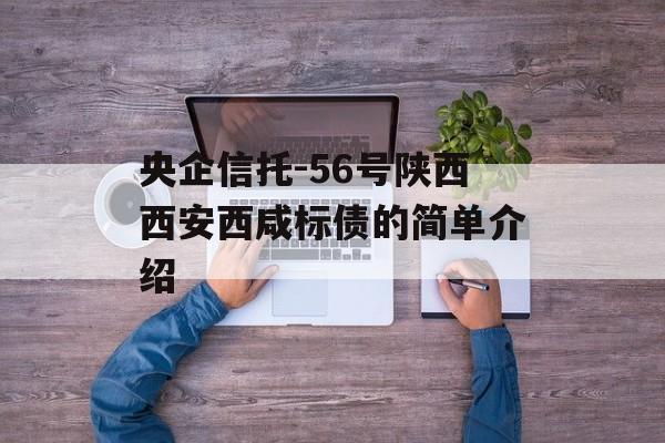 央企信托-56号陕西西安西咸标债的简单介绍