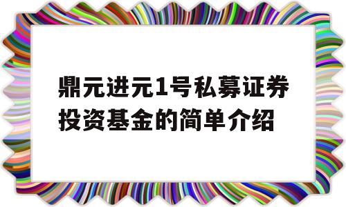 鼎元进元1号私募证券投资基金的简单介绍