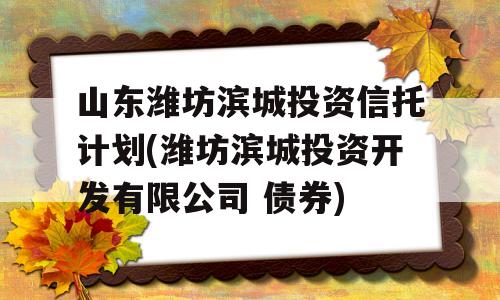 山东潍坊滨城投资信托计划(潍坊滨城投资开发有限公司 债券)