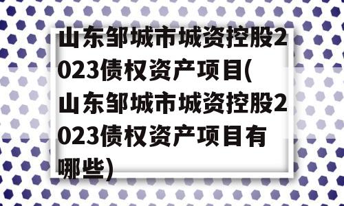 山东邹城市城资控股2023债权资产项目(山东邹城市城资控股2023债权资产项目有哪些)