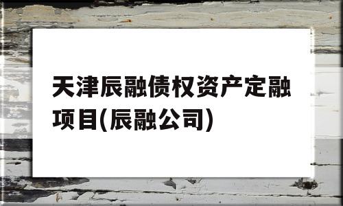 天津辰融债权资产定融项目(辰融公司)