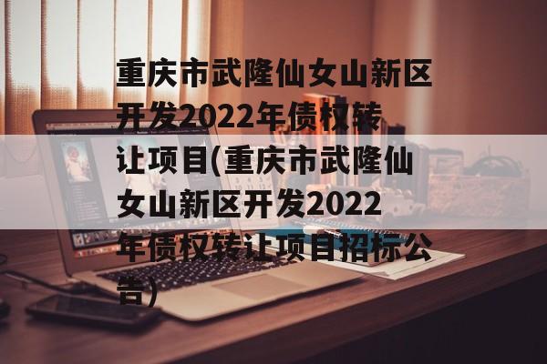 重庆市武隆仙女山新区开发2022年债权转让项目(重庆市武隆仙女山新区开发2022年债权转让项目招标公告)