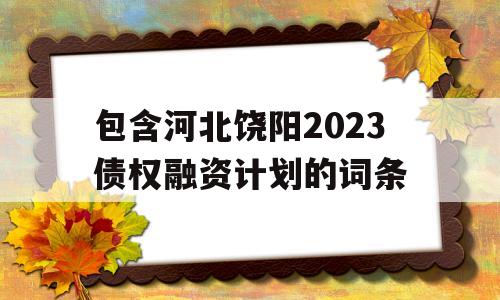 包含河北饶阳2023债权融资计划的词条