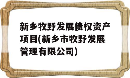 新乡牧野发展债权资产项目(新乡市牧野发展管理有限公司)