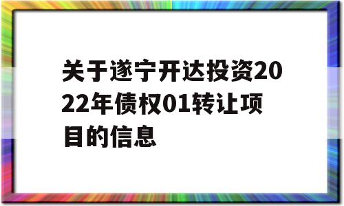 关于遂宁开达投资2022年债权01转让项目的信息