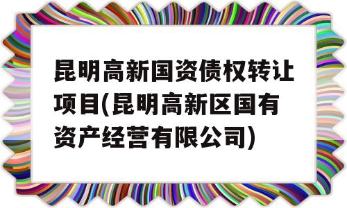 昆明高新国资债权转让项目(昆明高新区国有资产经营有限公司)