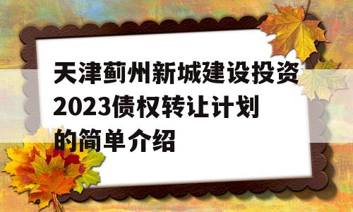 天津蓟州新城建设投资2023债权转让计划的简单介绍