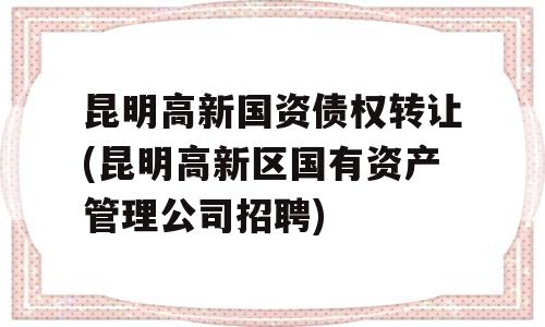 昆明高新国资债权转让(昆明高新区国有资产管理公司招聘)