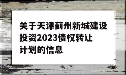 关于天津蓟州新城建设投资2023债权转让计划的信息