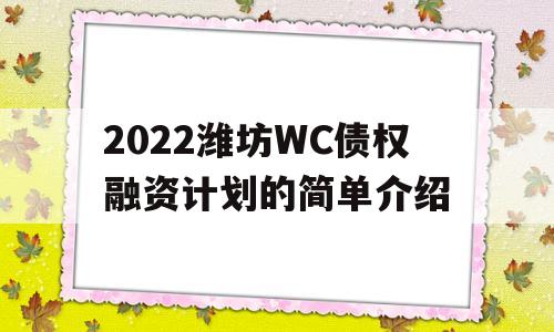 2022潍坊WC债权融资计划的简单介绍