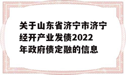 关于山东省济宁市济宁经开产业发债2022年政府债定融的信息