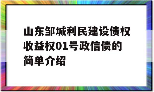 山东邹城利民建设债权收益权01号政信债的简单介绍