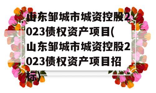 山东邹城市城资控股2023债权资产项目(山东邹城市城资控股2023债权资产项目招标)