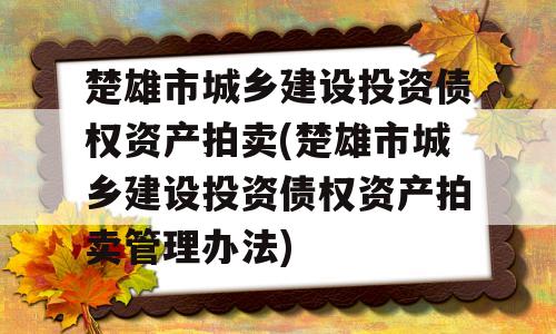 楚雄市城乡建设投资债权资产拍卖(楚雄市城乡建设投资债权资产拍卖管理办法)