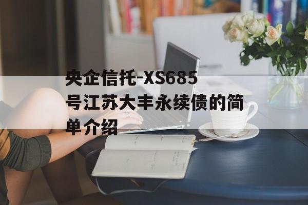 央企信托-XS685号江苏大丰永续债的简单介绍