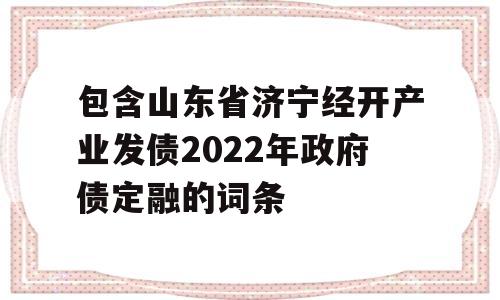 包含山东省济宁经开产业发债2022年政府债定融的词条