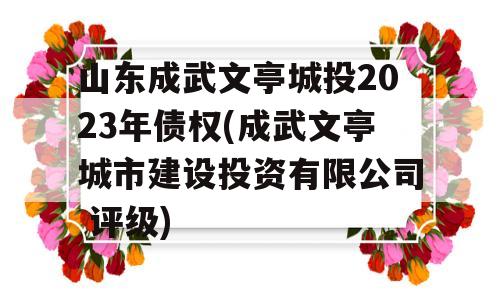 山东成武文亭城投2023年债权(成武文亭城市建设投资有限公司 评级)