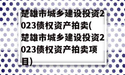 楚雄市城乡建设投资2023债权资产拍卖(楚雄市城乡建设投资2023债权资产拍卖项目)