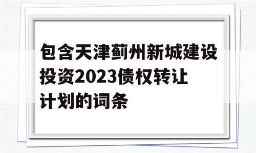 包含天津蓟州新城建设投资2023债权转让计划的词条