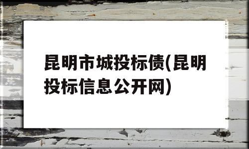 昆明市城投标债(昆明投标信息公开网)