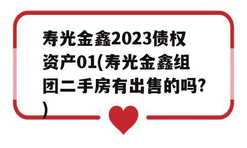 寿光金鑫2023债权资产01(寿光金鑫组团二手房有出售的吗?)