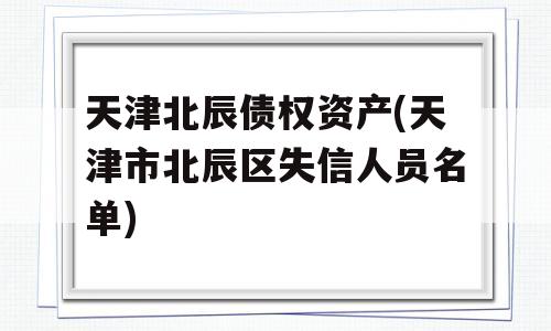 天津北辰债权资产(天津市北辰区失信人员名单)