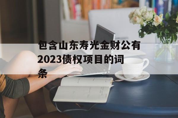 包含山东寿光金财公有2023债权项目的词条