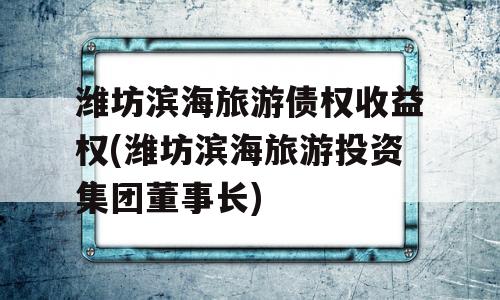 潍坊滨海旅游债权收益权(潍坊滨海旅游投资集团董事长)