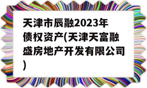 天津市辰融2023年债权资产(天津天富融盛房地产开发有限公司)