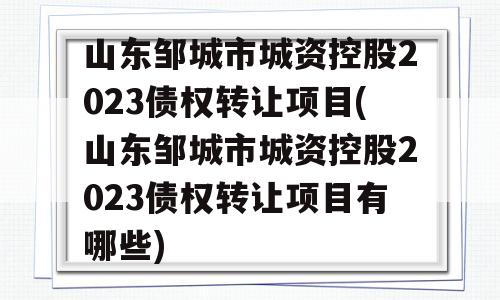 山东邹城市城资控股2023债权转让项目(山东邹城市城资控股2023债权转让项目有哪些)