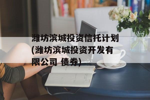 潍坊滨城投资信托计划(潍坊滨城投资开发有限公司 债券)