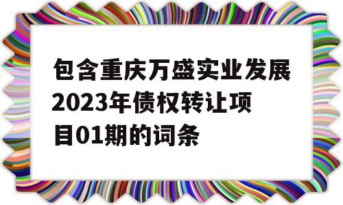 包含重庆万盛实业发展2023年债权转让项目01期的词条