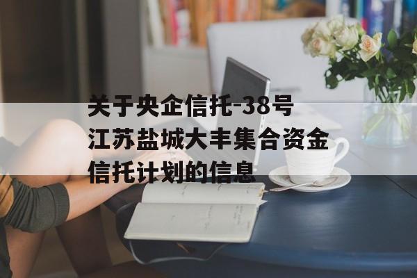 关于央企信托-38号江苏盐城大丰集合资金信托计划的信息