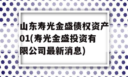 山东寿光金盛债权资产01(寿光金盛投资有限公司最新消息)