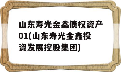 山东寿光金鑫债权资产01(山东寿光金鑫投资发展控股集团)